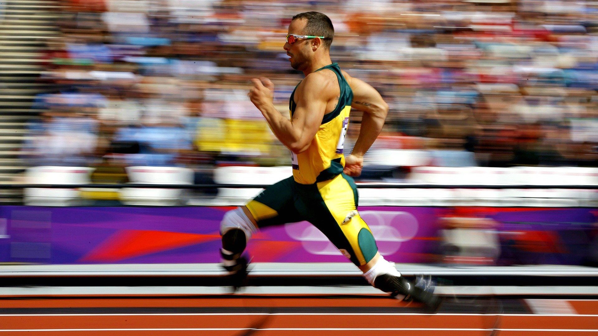 温网2024，阿尔卡拉斯力克德约科维奇卫冕成功，新生代正式接管草地王朝【非凡体育平台】