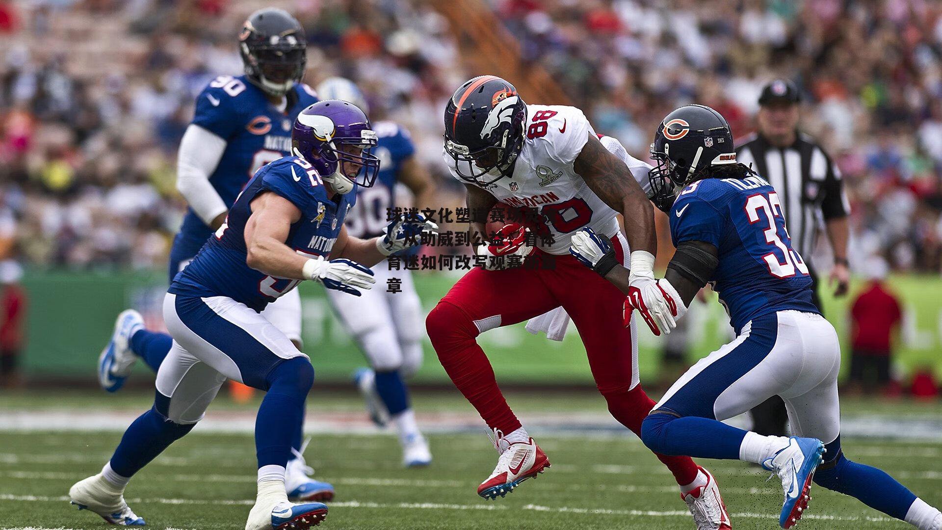 球迷文化塑造赛场灵魂，从助威到公益，看体育迷如何改写观赛新篇章