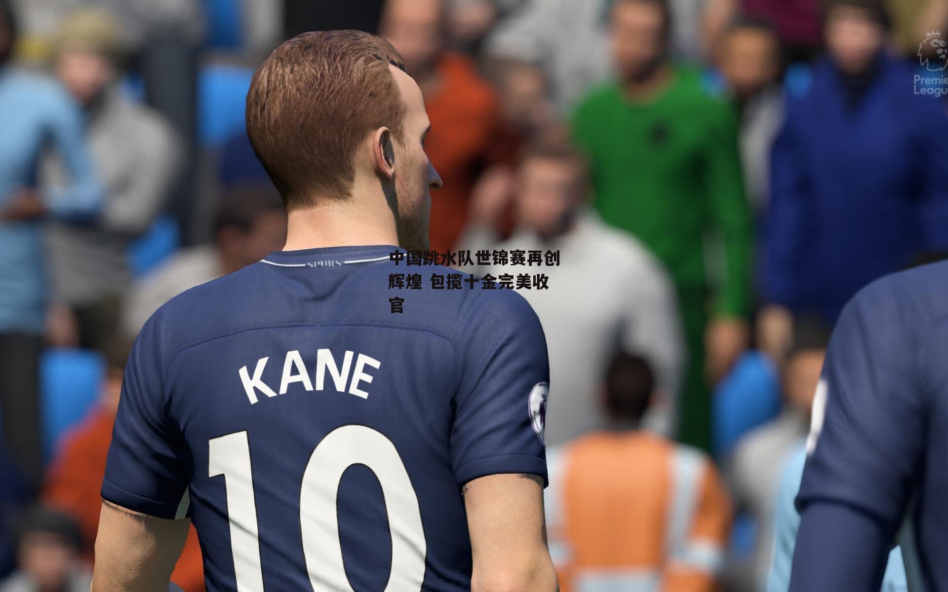 中国跳水队世锦赛再创辉煌 包揽十金完美收官-非凡体育平台