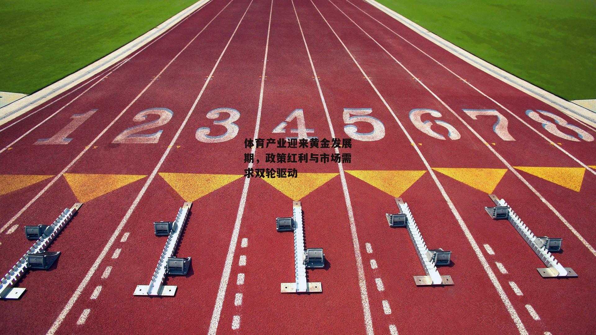 非凡体育官网-体育产业迎来黄金发展期，政策红利与市场需求双轮驱动