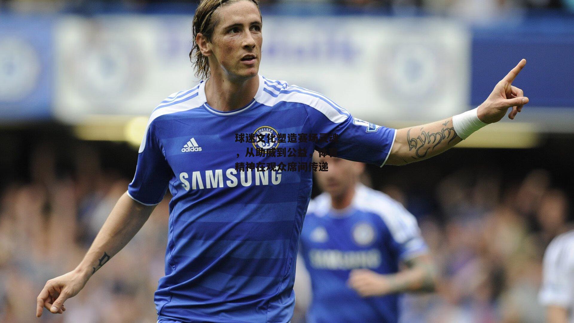 球迷文化塑造赛场灵魂,从助威到公益,体育精神在观众席间传递